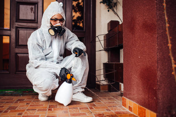 Reliable Bed Bug Control contractor in Bryan, TX by Nex Pest Control